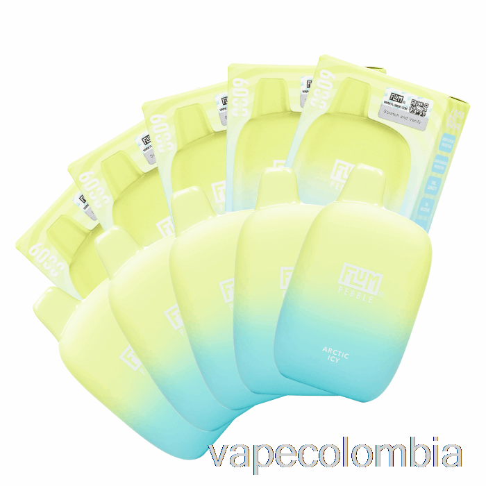 Vape Recargable [paquete De 10] Flum Pebble 6000 Desechable